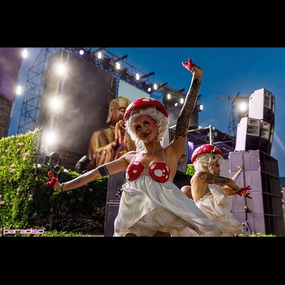 Meet your Posher, Lily - Picture 2 of 15